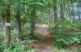 Wieshofer Steig, &copy; Wienerwald