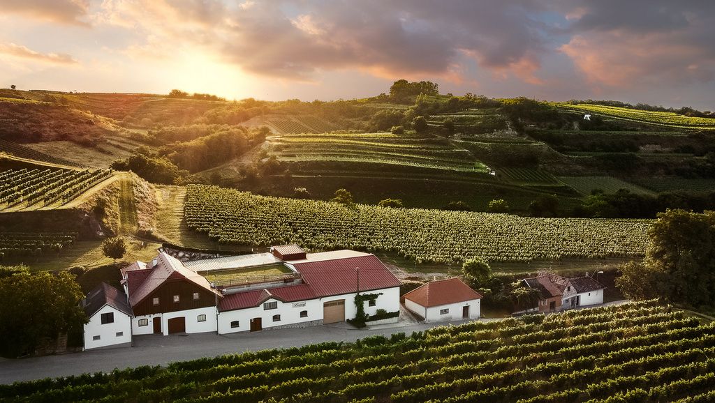 Weingut in hügeliger Landschaft bei Sonnenuntergang.