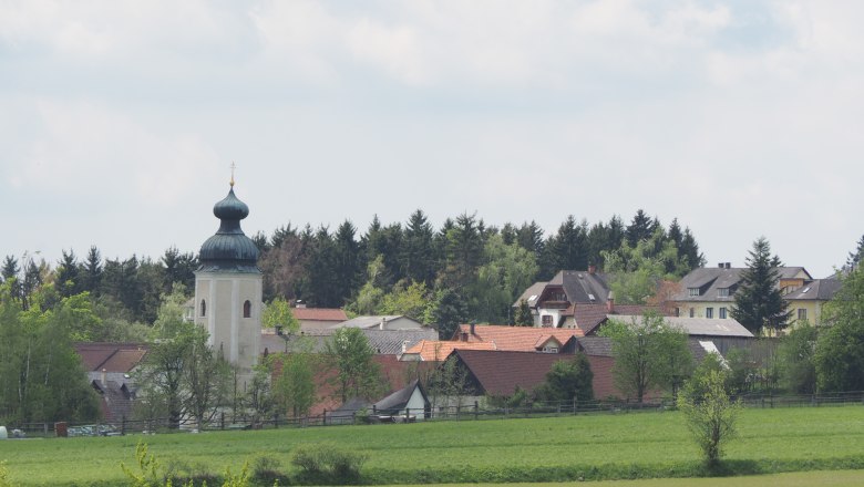 Pfarrkirche Sallingberg mit Zwiebelturm in l&auml;ndlicher Umgebung.