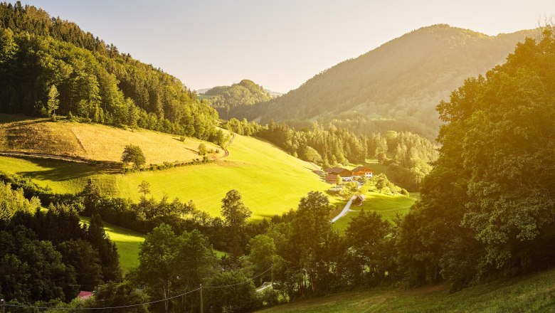 Zwergerlhof, &copy; Michael Liebert