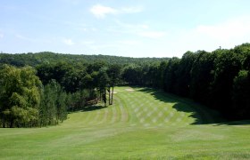 Golfplatz mit gepflegtem Rasen und umgebenden Bäumen.