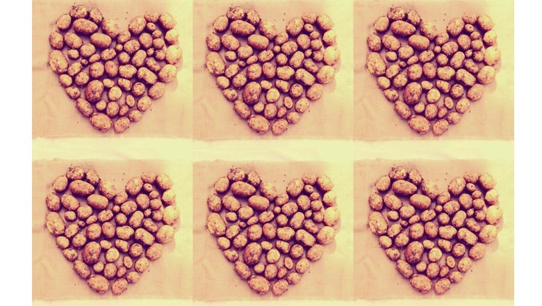 Heurige Erd&auml;pfel, &copy; Fam. Hellmer