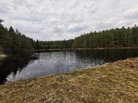 Hirschauteich, © Thomas Diesner