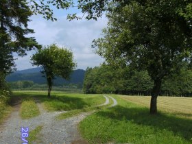 Steinbruchwanderweg, &copy; Waldviertel Tourismus