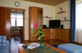 Wohnzimmer mit Holzmöbeln, Fernseher und Vase mit Blumen.