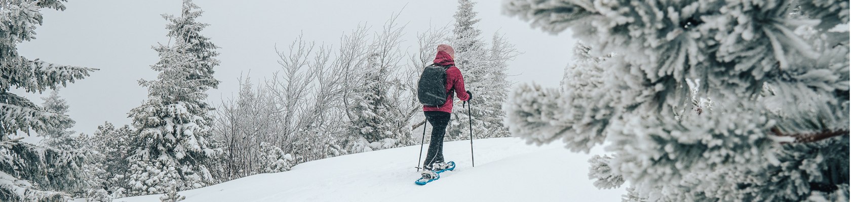 Schneeschuhwandern Rax, © Niederösterreich Werbung/ Tereza Bokrová