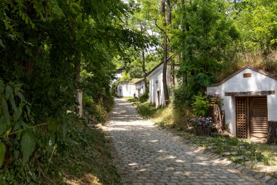 am EuroVelo 9, © Niederösterreich Werbung/ Franziska Consolati 