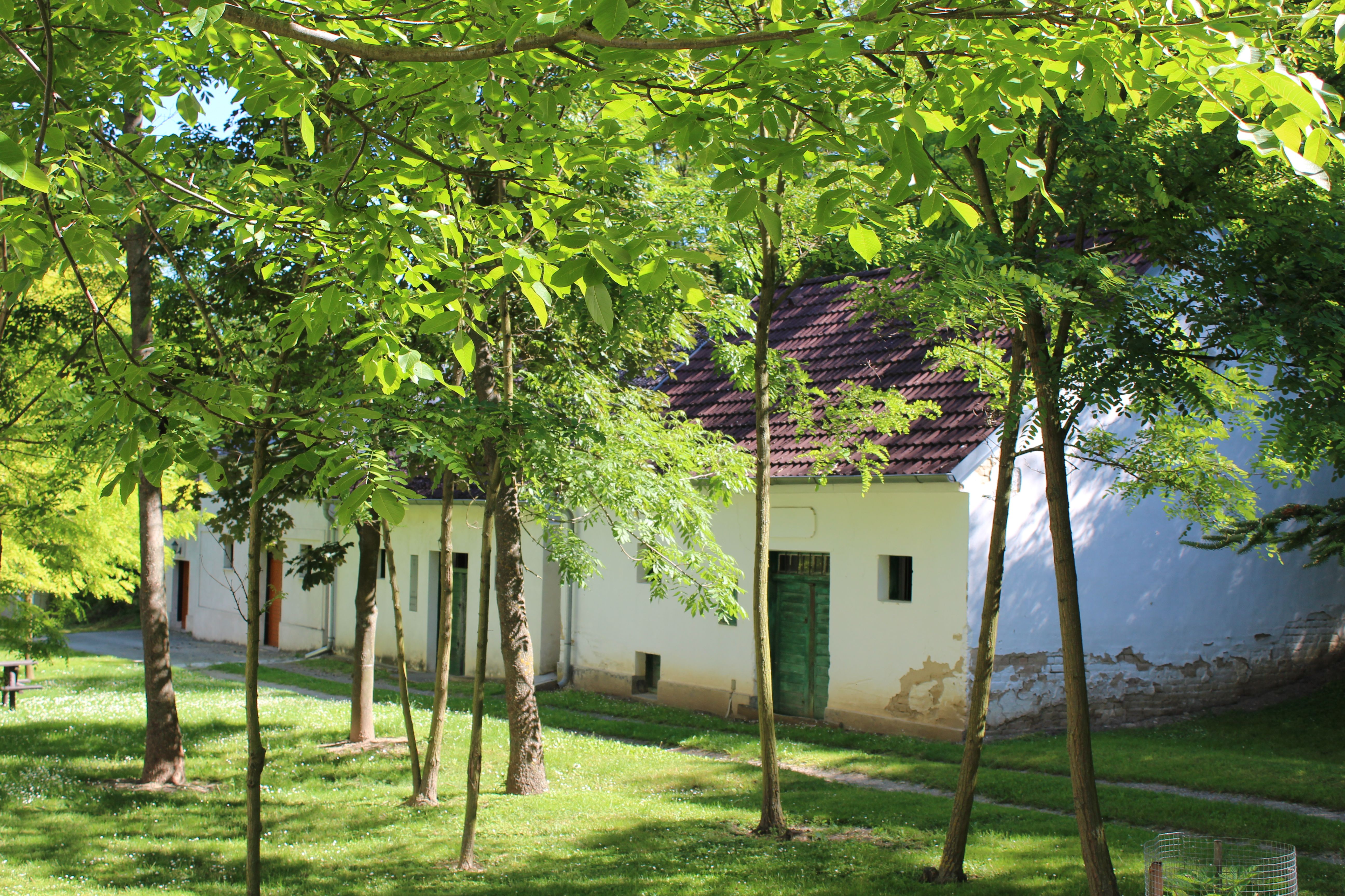 Weißes Gebäude mit grünem Tor, umgeben von Bäumen und Gras.