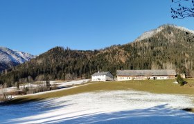 Lasingerhof, &copy; Cornelia Lasinger