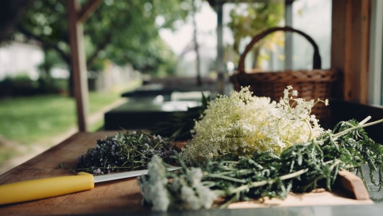 Kr&auml;utergarten Wohlbehagen, &copy; Moststra&szlig;e, dochbodnliacht