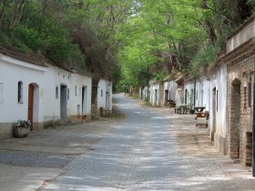 Radyweg Poysdorf, &copy; Weinviertel Tourismus / Kr&ouml;nigsberger