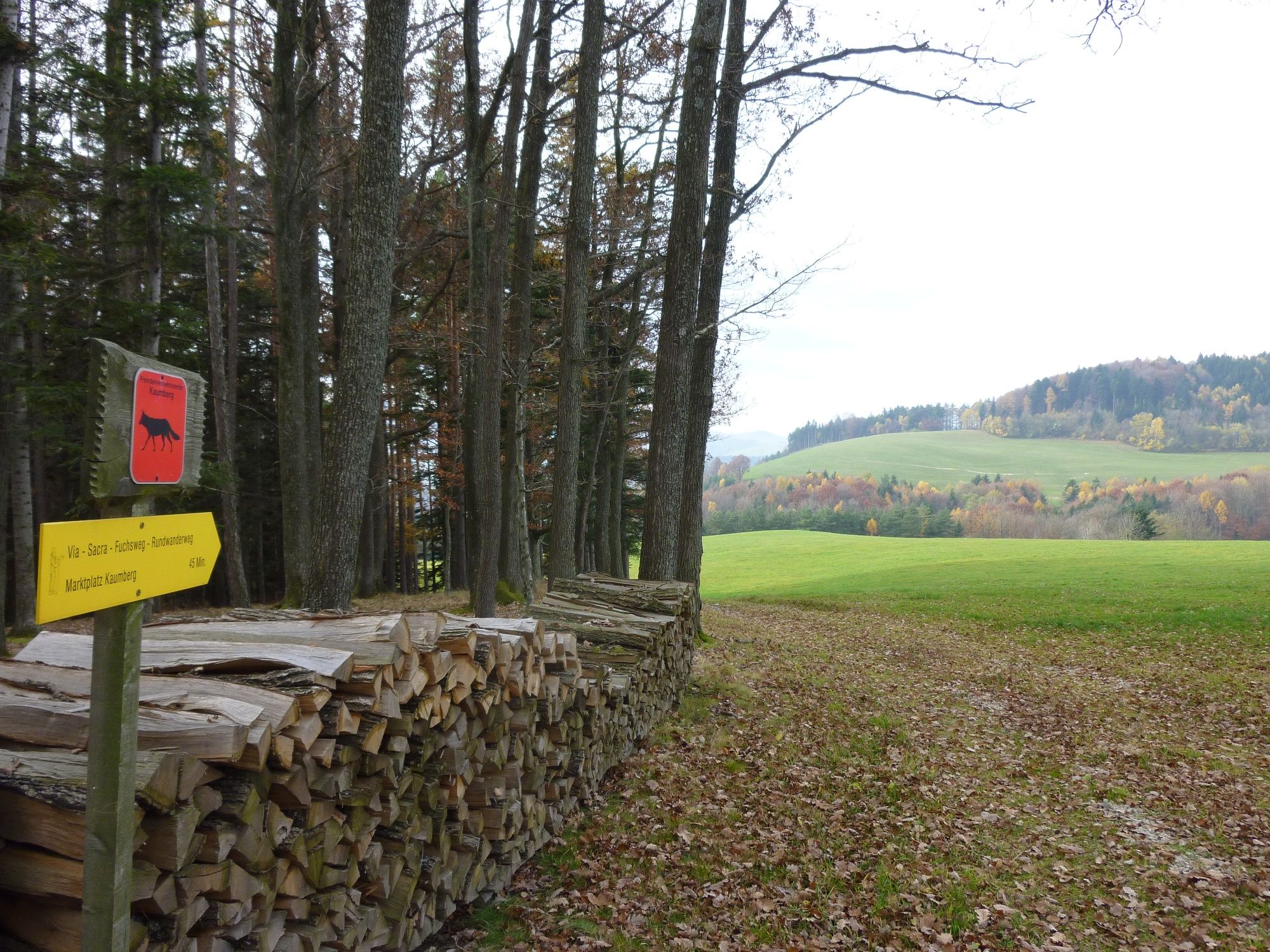 Beginn des Rückweges