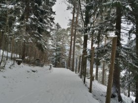 Spaziergang durch den Naturpark, &copy; Marktgemeinde Schwarzau