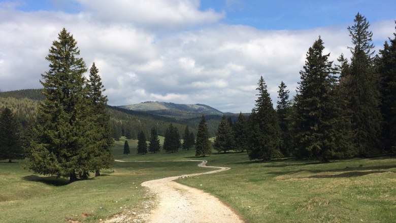 Ein Wanderweg schl&auml;ngelt sich durch eine gr&uuml;ne Landschaft mit B&auml;umen und Bergen im Hintergrund unter einem blauen Himmel mit Wolken.