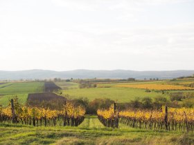 Zellerndorf, &copy; Astrid Bartl