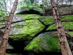 Fotowalk, &copy; Martin Lugmayr