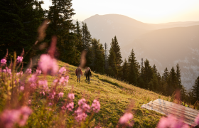 Sanfte H&uuml;gel und bl&uuml;hende Wiesen laden zu einem unvergesslichen Wanderausflug ein. Die warmen Sonnenstrahlen tauchen die Landschaft in goldenes Licht und schaffen eine harmonische Atmosph&auml;re. Hier, umgeben von majest&auml;tischen Bergen und duftenden Wildblumen, wird der Sommer in den Alpen zum Erlebnis.
