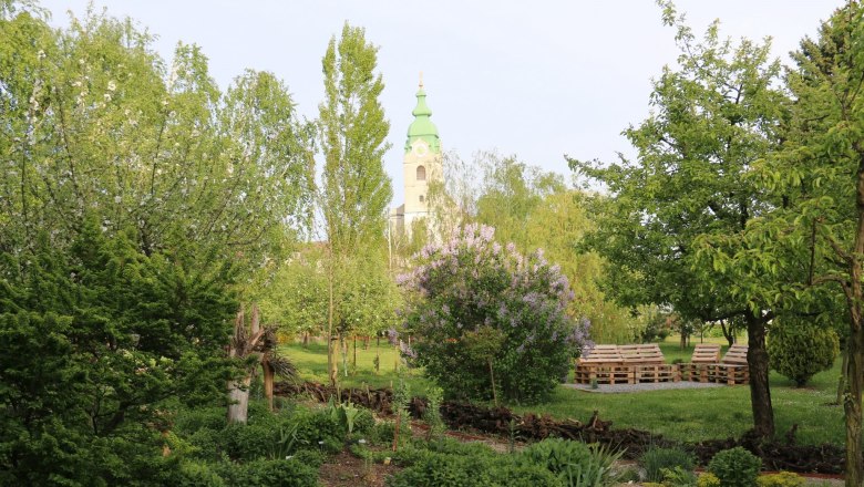 Ein gr&uuml;ner Garten mit B&auml;umen, Str&auml;uchern und einem Kirchturm im Hintergrund.