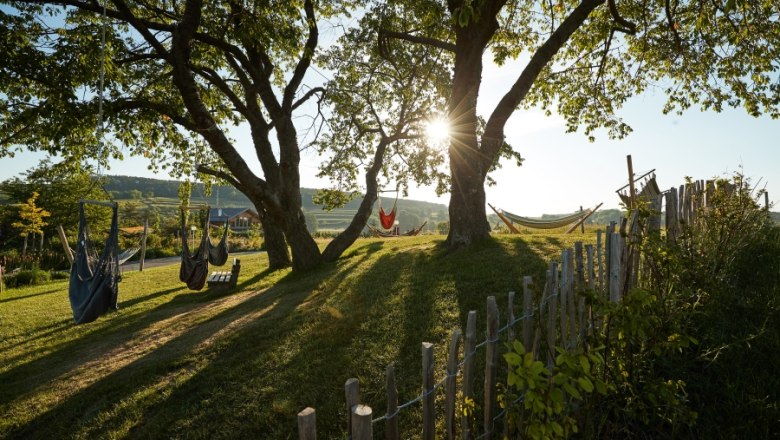 Ein Garten mit H&auml;ngematten zwischen B&auml;umen, Sonnenlicht strahlt durch die Bl&auml;tter, ein Holzzaun im Vordergrund.