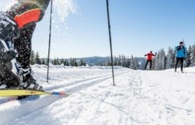 Langau - Skatingloipe, &copy; Nordisches Zentrum St. Aegyd