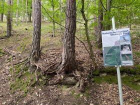 Naturschutzgebiet Steinige Ries, &copy; Wachau Inside
