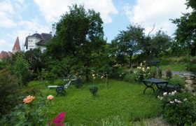 Ein gr&uuml;ner Garten mit B&auml;umen, Blumen und Sitzb&auml;nken unter blauem Himmel.