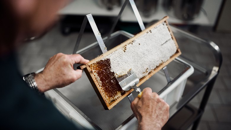 Die Zeidler, &copy; Moststra&szlig;e, dochbodnliacht