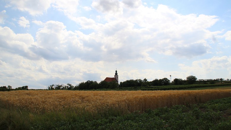 Feld mit Kirche, &copy; Marktgemeinde Reisenberg