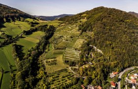 Ried Trenning, &copy; Robert Herbst