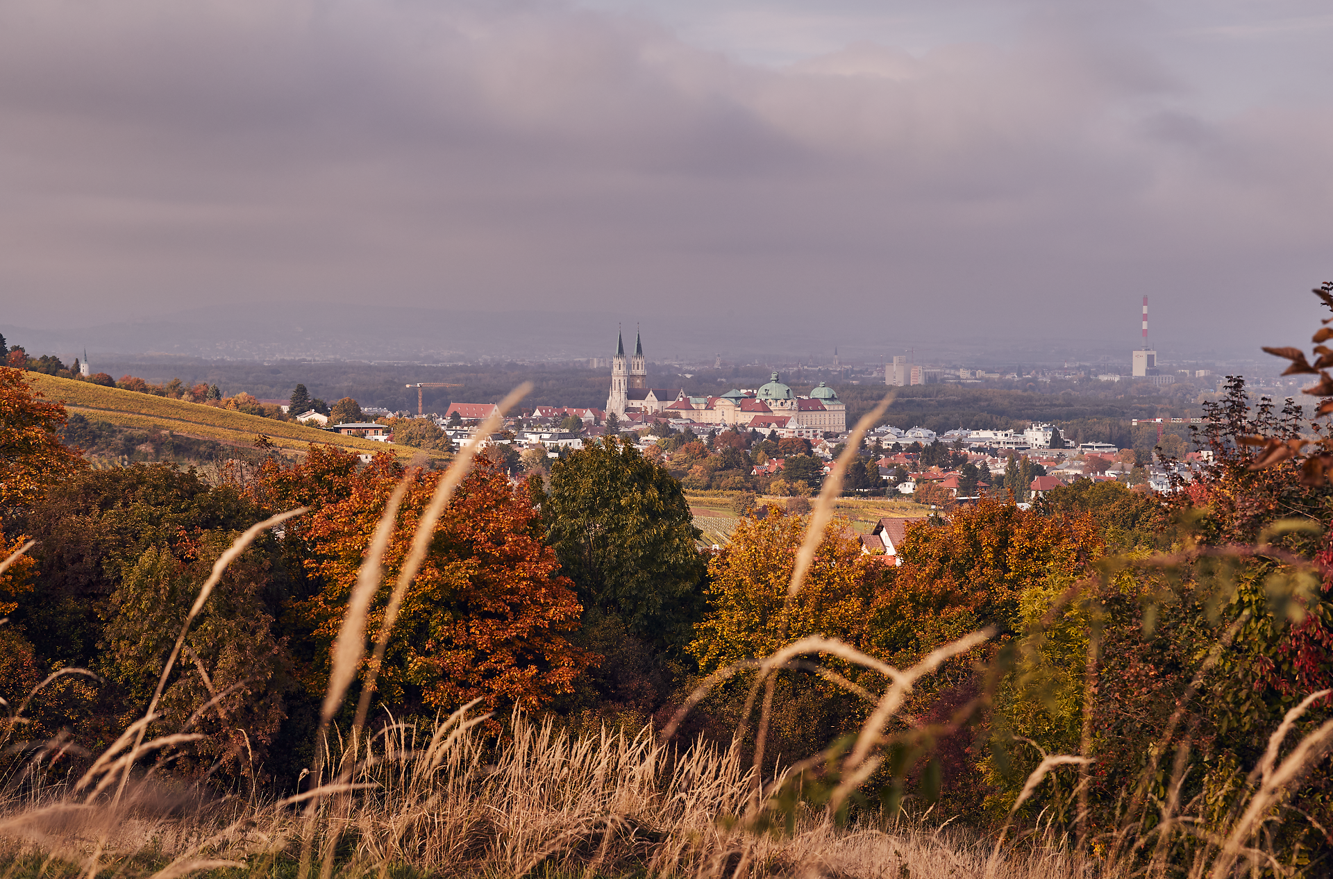 Die sanften Hügel des Wienerwaldes erstrahlen im warmen Licht des Herbstes, während die bunten Blätter der Bäume eine malerische Kulisse schaffen. In der Ferne ragt das beeindruckende Stift Klosterneuburg empor, umgeben von der ruhigen Schönheit der Natur. Ein idealer Ort, um die Seele baumeln zu lassen und die frische, klare Luft zu genießen.