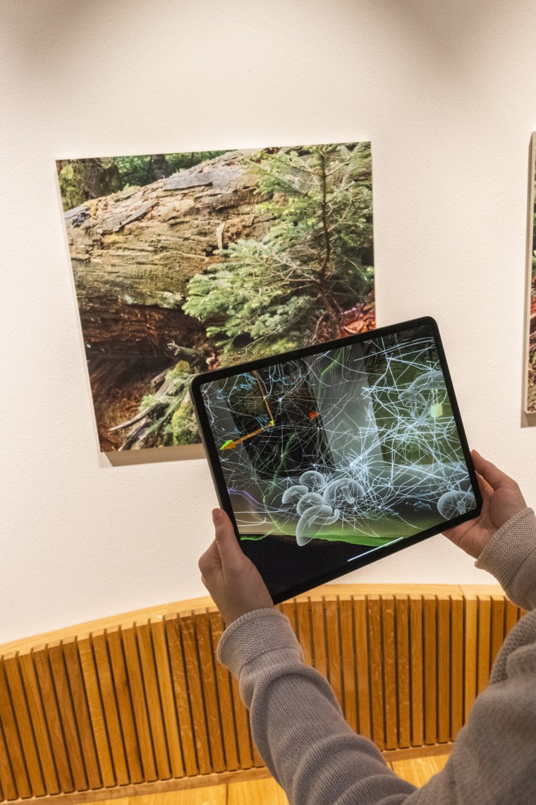 Kind hält Tablet, dort wird etwas gezeigt, dahinter Bilder vom Wildnisgebiet.