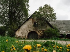 Umgeben von &uuml;ppigem Gr&uuml;n und bl&uuml;henden L&ouml;wenzahnwiesen, strahlt das alte Bauernhaus eine einladende Ruhe aus. Die sanften H&uuml;gel im Hintergrund laden Wanderer ein, die Sch&ouml;nheit der Natur zu erkunden und die frische Luft zu genie&szlig;en.