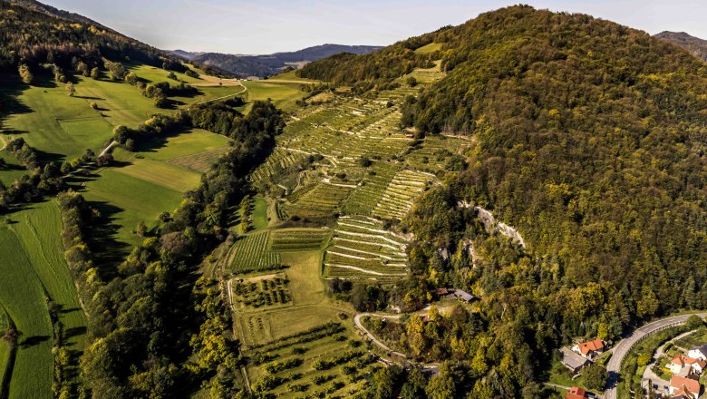 Ried Trenning, &copy; Robert Herbst