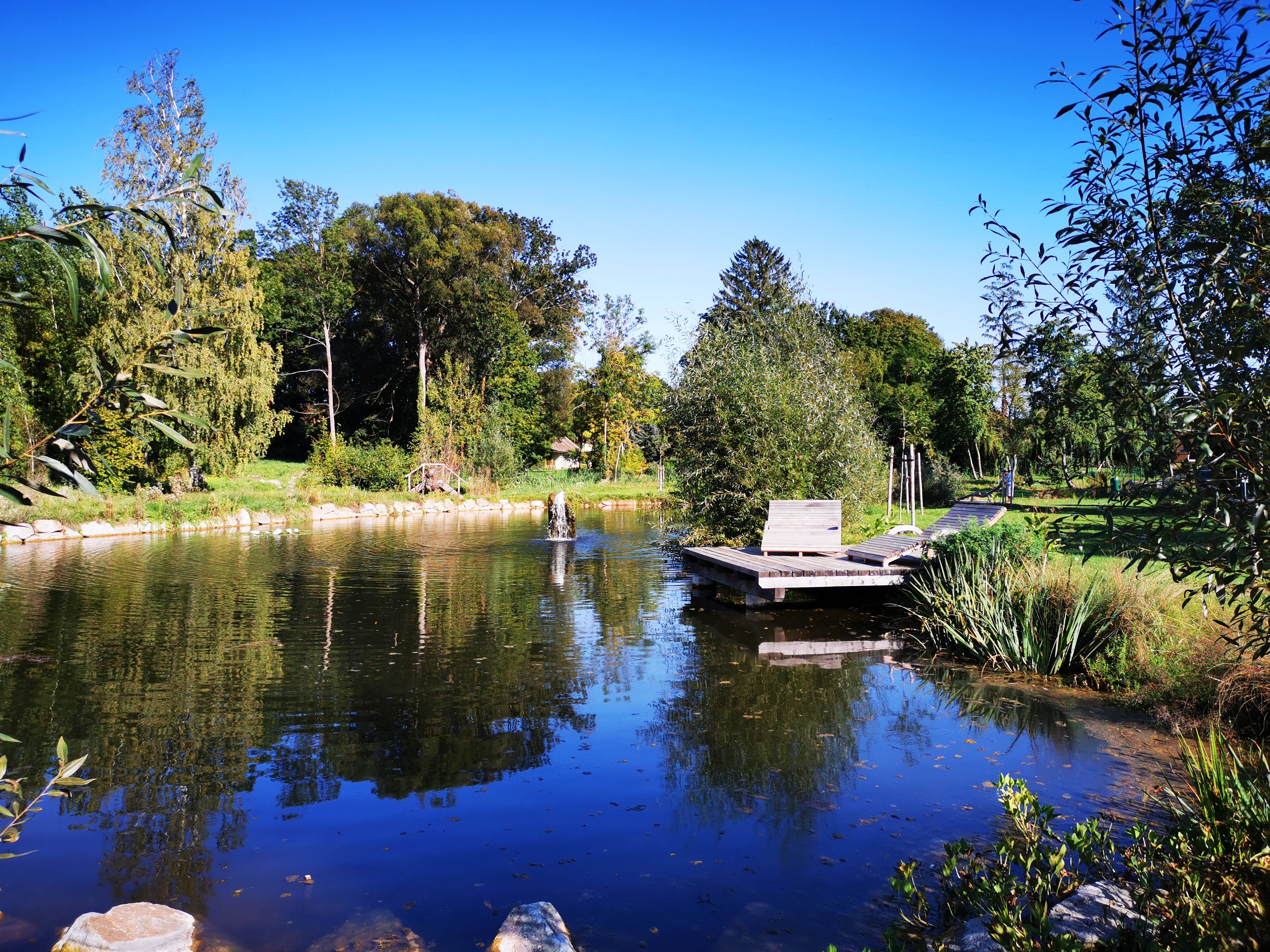 Ein ruhiger Teich mit Holzliegen und üppiger Vegetation unter blauem Himmel.