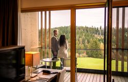Hotel Schwarz Alm Zwettl mit Naturteich und Liegestühlen, umgeben von grüner Landschaft.