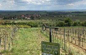Weinberg mit Blick auf ein Dorf im Weinviertel, Schild mit der Aufschrift 'Geheimtipp'.
