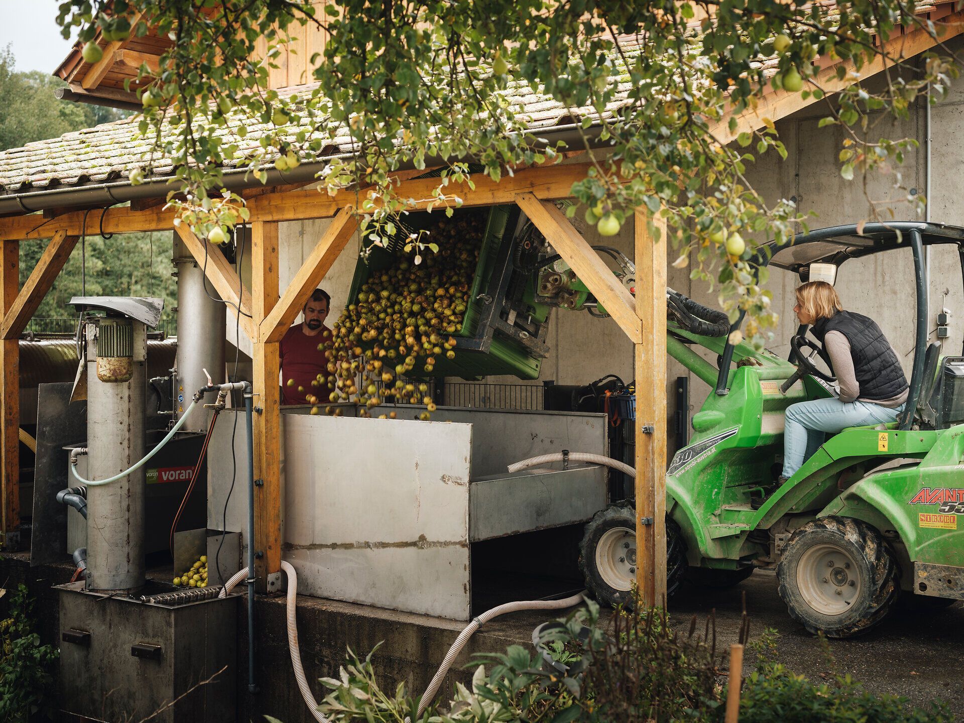 In der idyllischen Umgebung des Mostviertels wird frischer Most produziert, während die Sonne sanft durch die Bäume scheint. Die harmonische Atmosphäre und die geschäftige Tätigkeit der Ernte verleihen diesem Ort einen besonderen Charme, der die Sinne anregt und zum Verweilen einlädt.