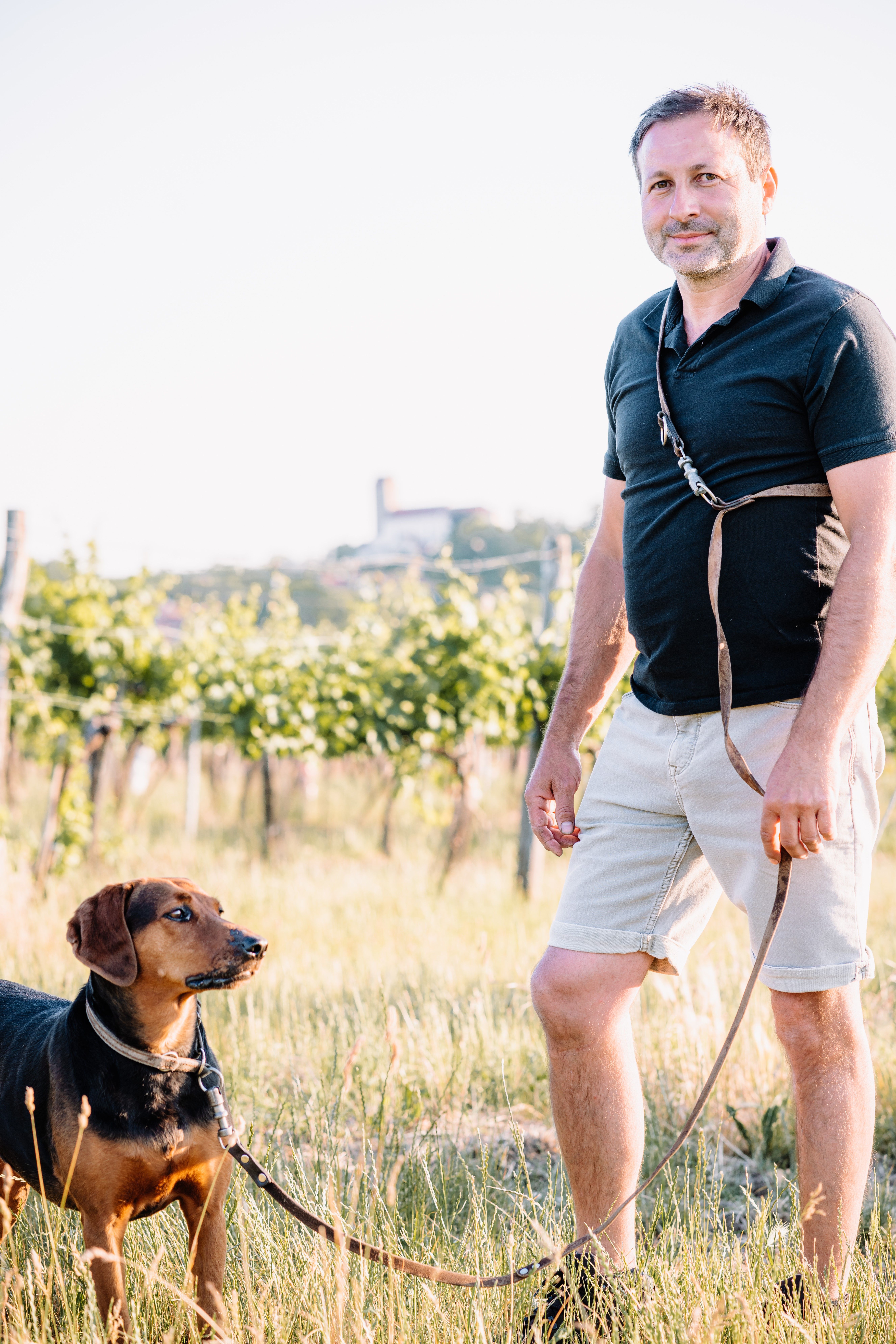 Ein Mann steht mit einem Hund an der Leine in einem Weinberg bei Sonnenschein.