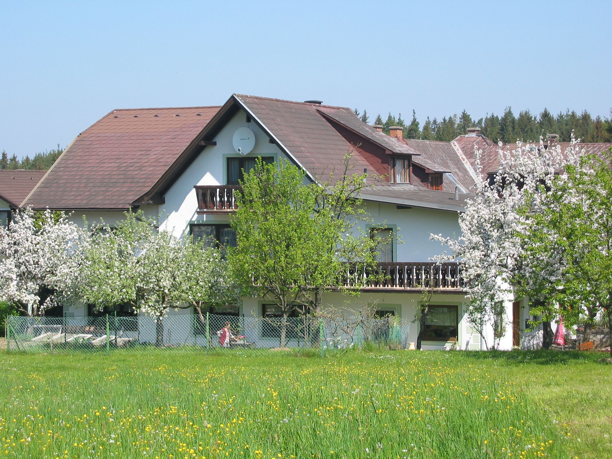 Ein weißes Haus mit braunem Dach, umgeben von blühenden Bäumen und einer grünen Wiese.