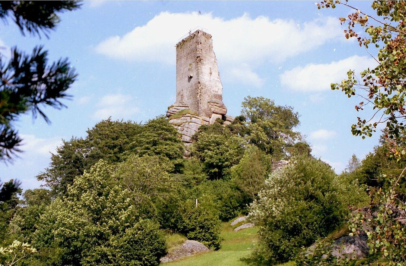 Ruine Arbesbach auf einem bewaldeten Hügel unter blauem Himmel.