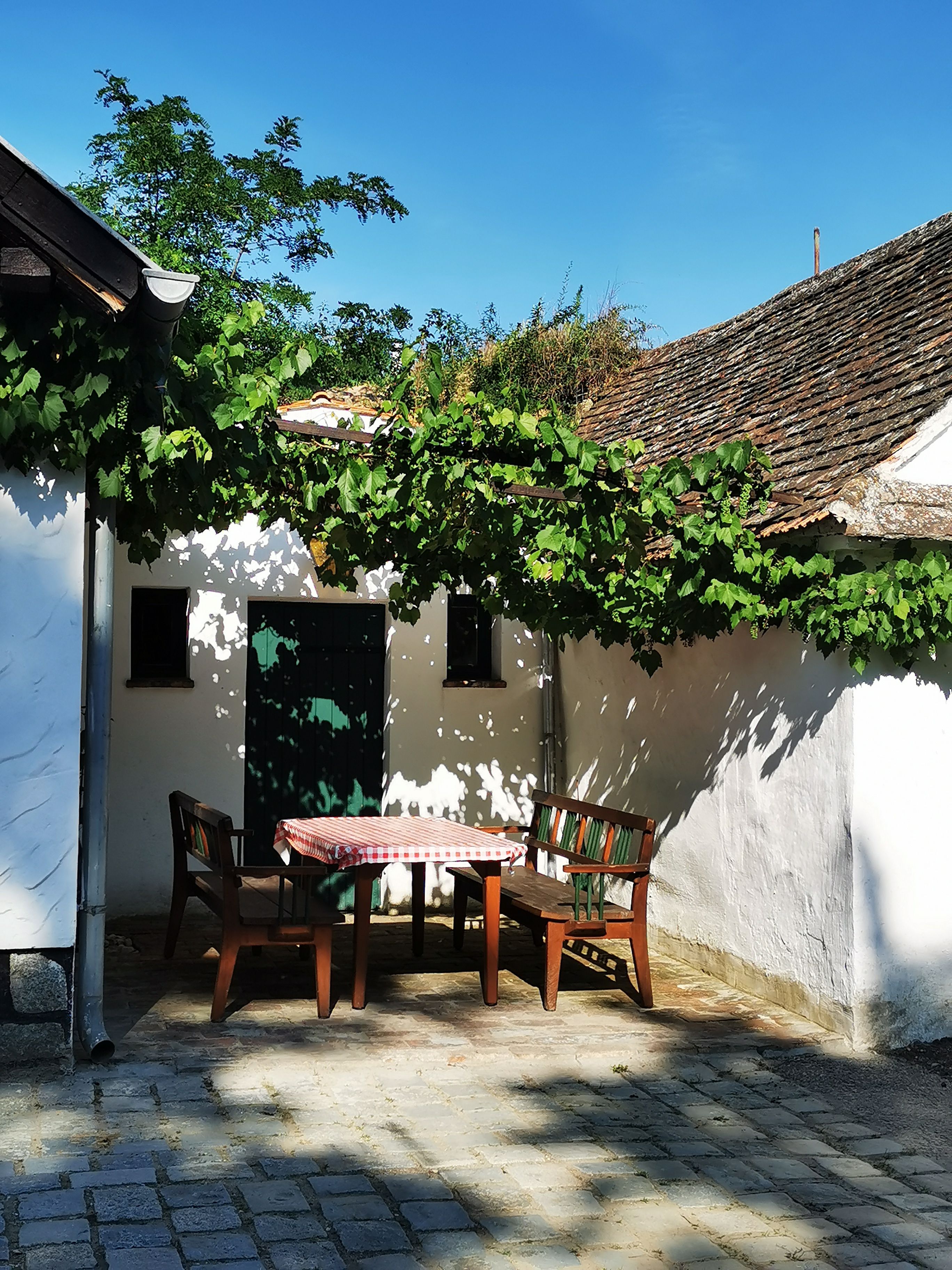 Ein Tisch mit rot-weiß kariertem Tuch und Holzbänken steht in einem sonnigen Innenhof mit Weinreben und weißen Wänden.
