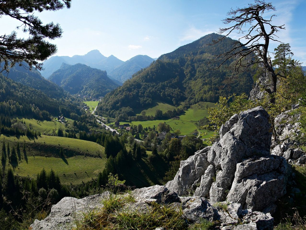 Nasswald