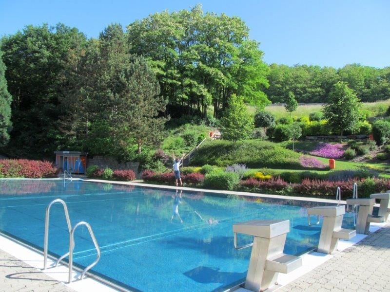 Ein Freibad mit klarem Wasser, umgeben von grüner Landschaft und bunten Blumenbeeten. Eine Person steht am Beckenrand.