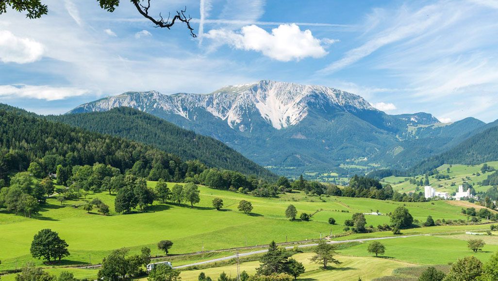 Landschaft mit grünen Wiesen, Bäumen und  Schneeberg im Hintergrund unter blauem Himmel.