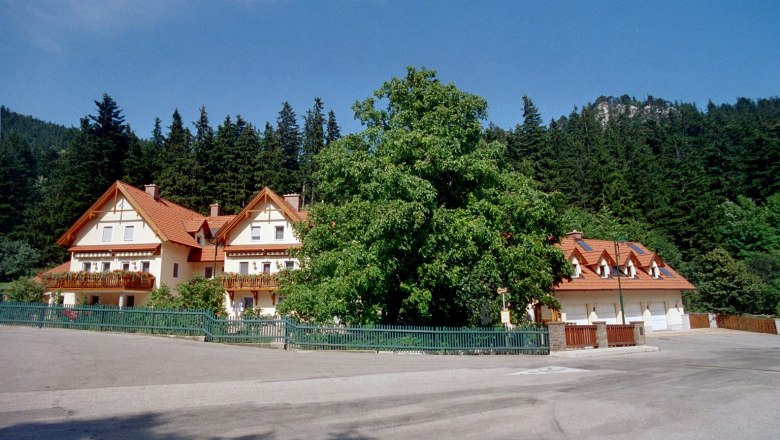 Ein großes Haus mit roten Dächern und Balkonen, umgeben von Bäumen und einem Wald im Hintergrund.