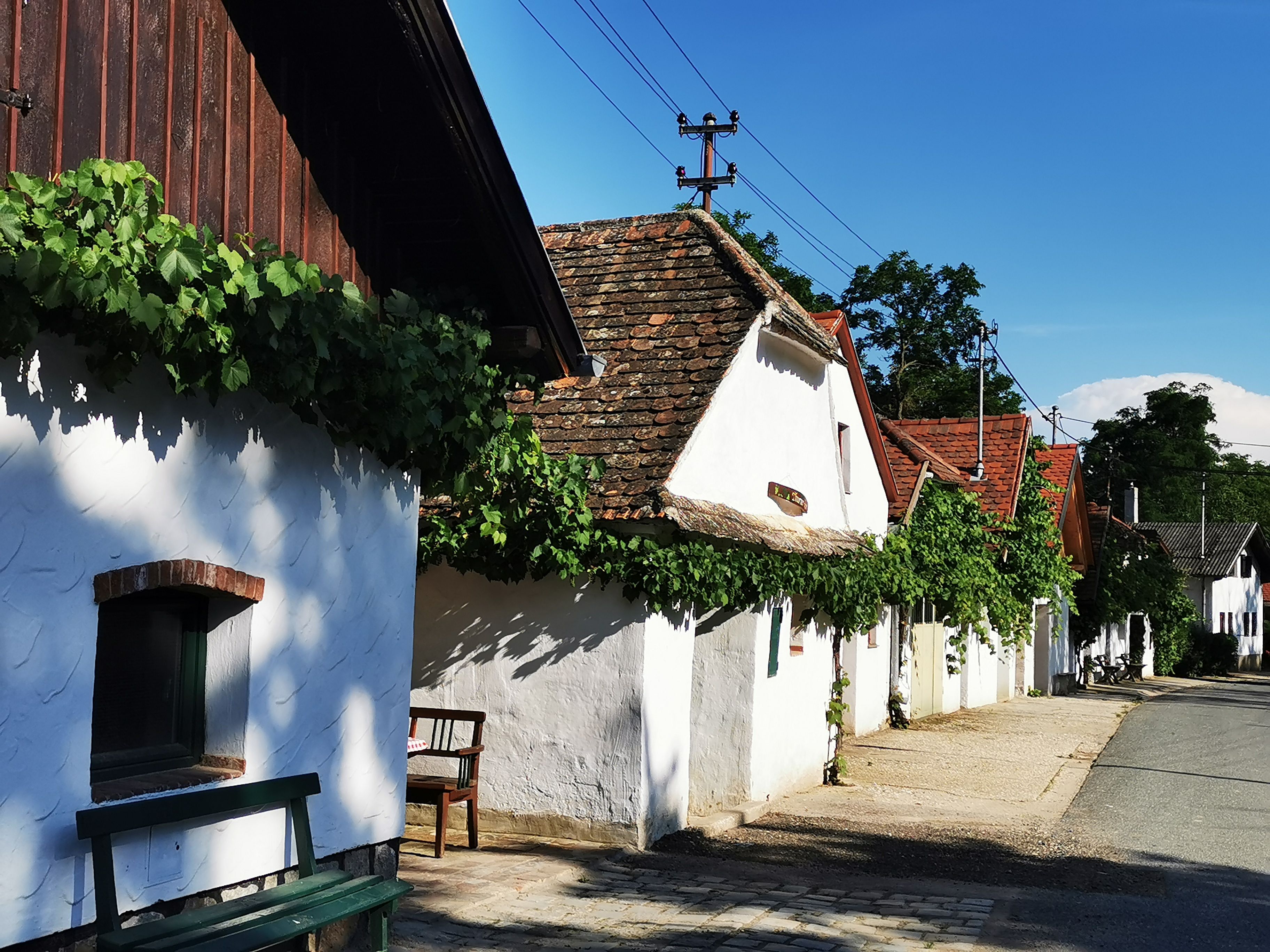 Kellergasse in Hadres mit weißen Häusern und Weinreben.