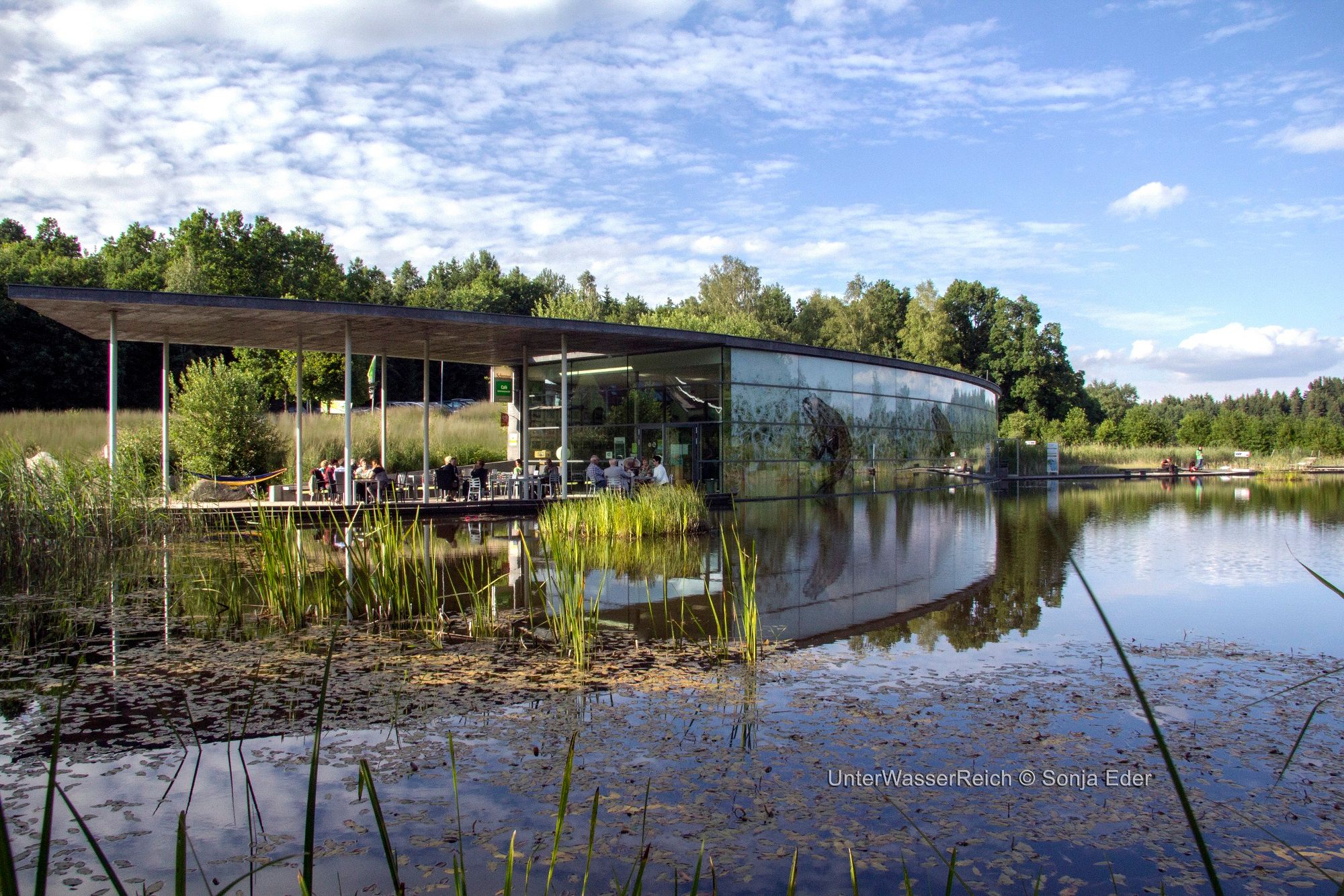 Modernes Gebäude mit Glasfassade am Teich, umgeben von Natur.