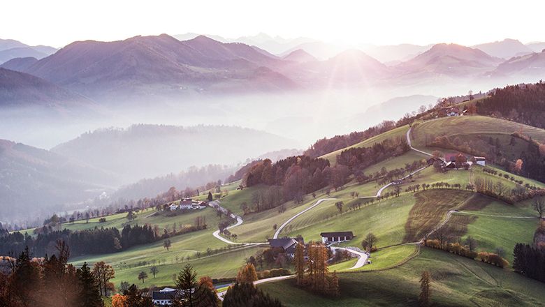 Panoramablick auf hügelige Landschaft mit Wiesen, Bäumen und Straßen im Morgenlicht.
