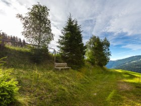 Weitwanderweg, &copy; Wiener Alpen in Nieder&ouml;sterreich