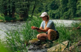 Eine Frau kniet am Ufer der Thaya im Nationalpark Thayatal, umgeben von dichter Vegetation und reichem Grün.